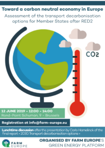 vrag_Posterjune12Decarbonisationoptions--1